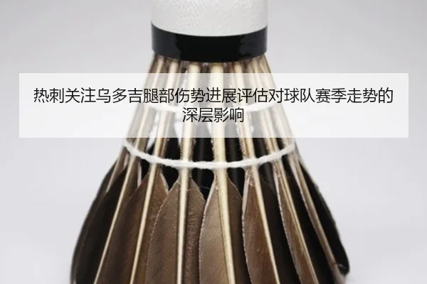 热刺关注乌多吉腿部伤势进展评估对球队赛季走势的深层影响